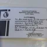 Rilevazione che, partita nel 2016, ha sinora portato �alla luce� 233 �famiglie� amministrate da 203 gattari. Il punto cruciale del regolamento � �l�ufficializzazione� dei volontari, a cui viene rilasciato un tesserino che d� il diritto e il dovere di occuparsi del sostentamento delle comunit�